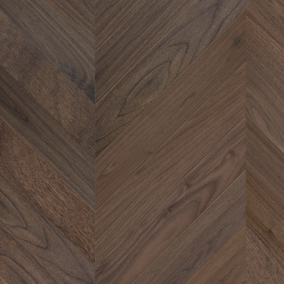 Valnøtt Stock Chevron Parkett