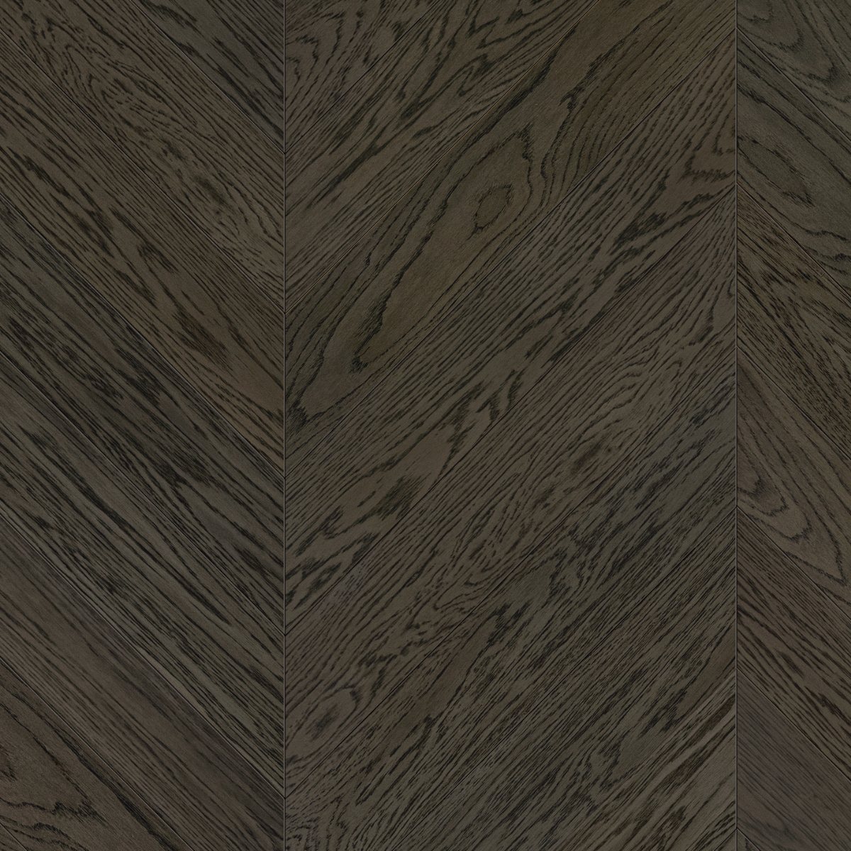 Lava Grey Nova Chevron Parkett i Eik