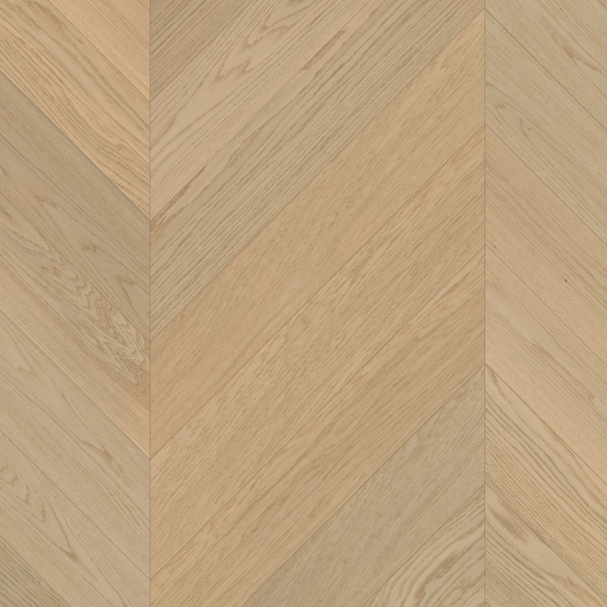 Dazy Nova Chevron Parkett i Eik