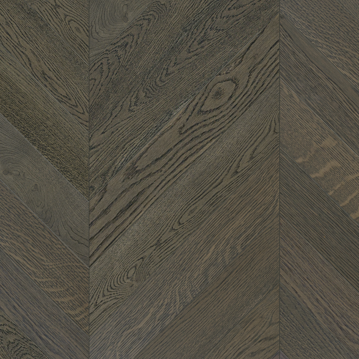 Lava Grey Stock Chevron Parkett i Eik
