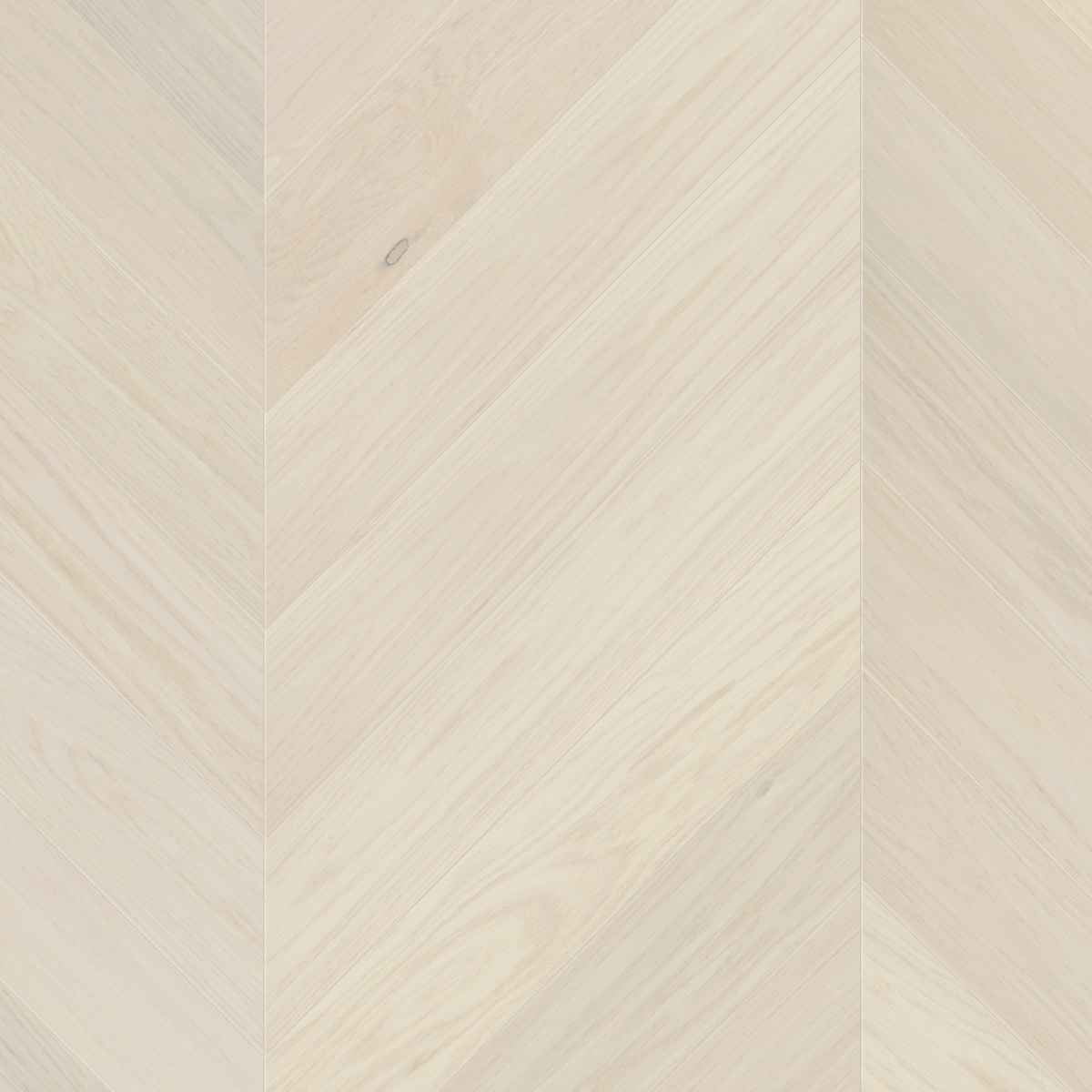 Latte Stock Chevron Parkett i Eik