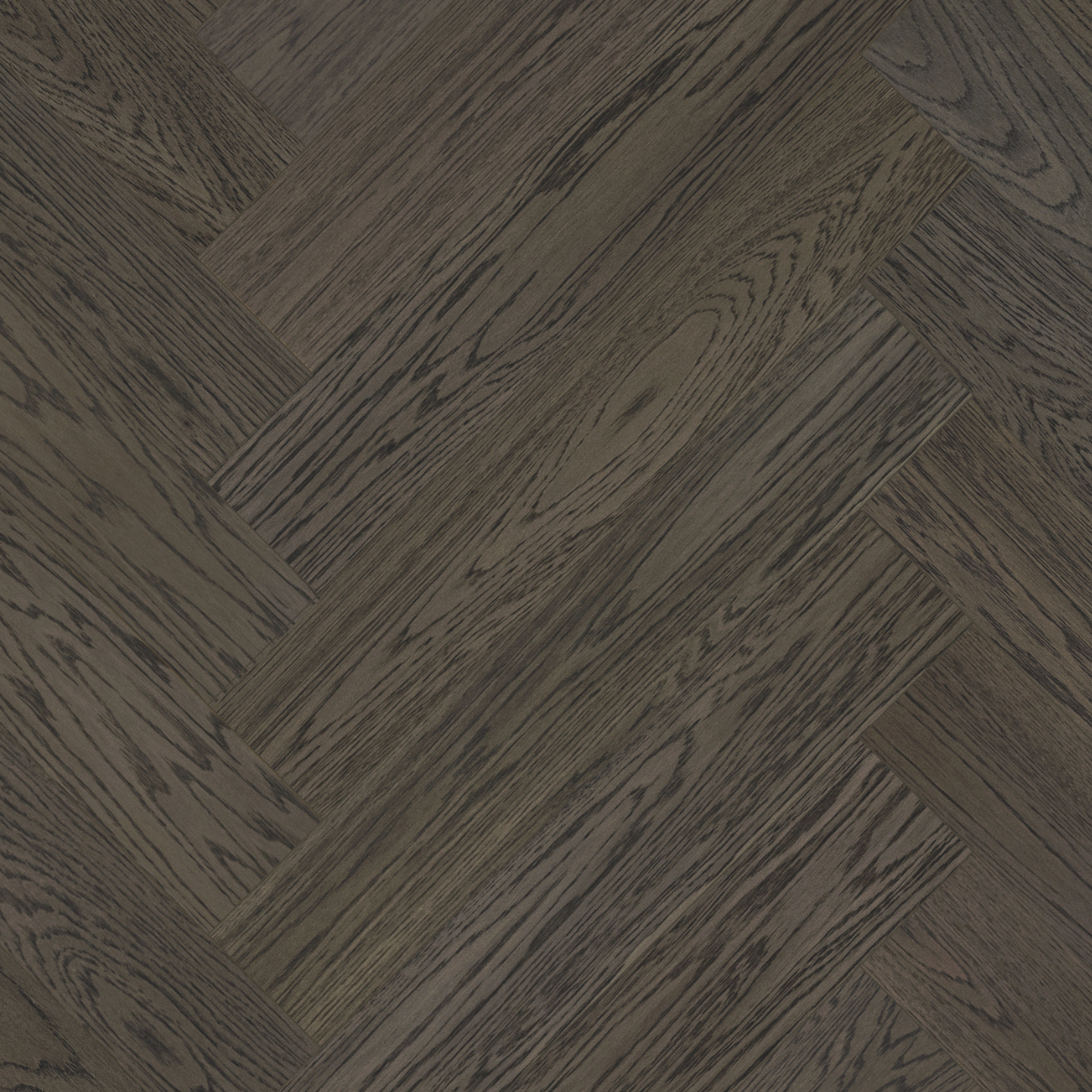 Lava Grey Nova Fiskebeinparkett i Eik