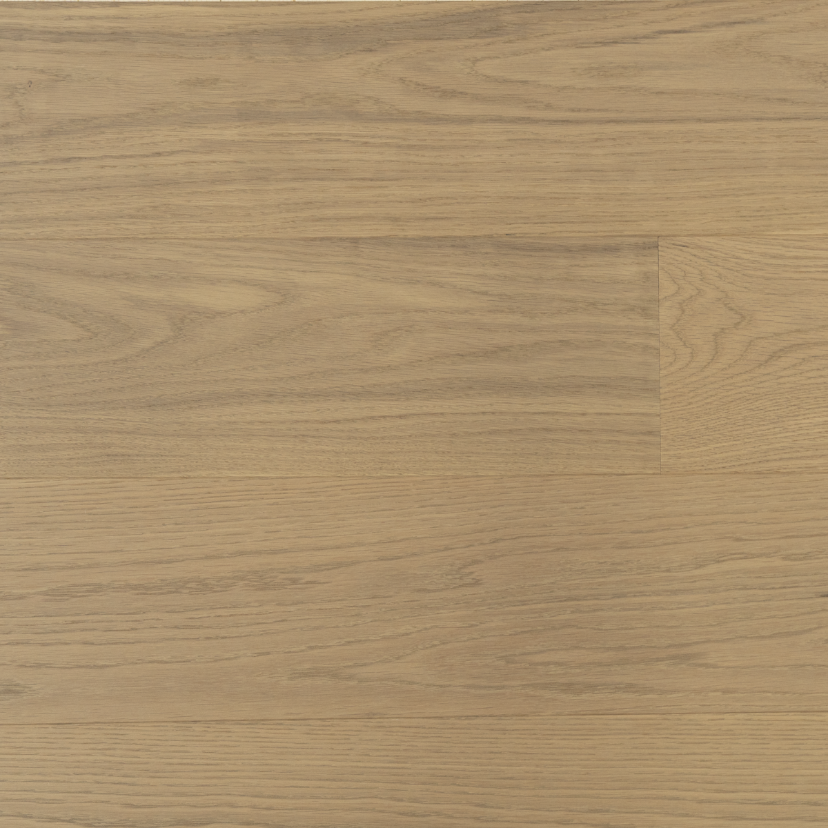 Beige Vivid Stock Enstavs Parkett i Eik